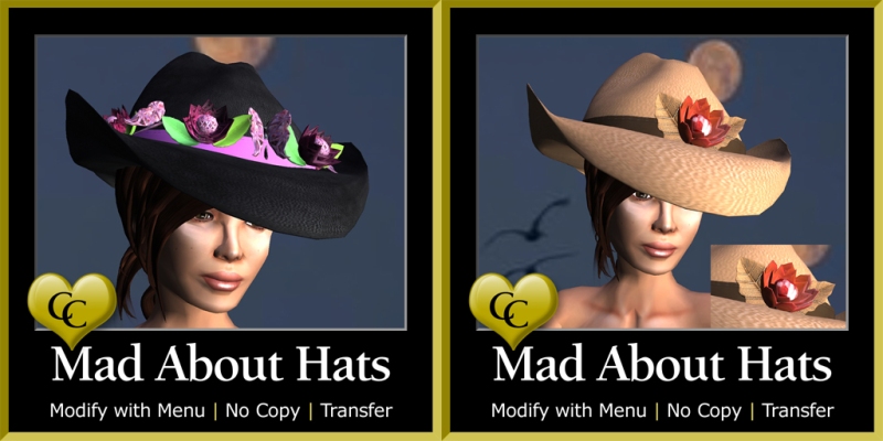 MAH San Antonia & Aussie Rose Cowboy Hats